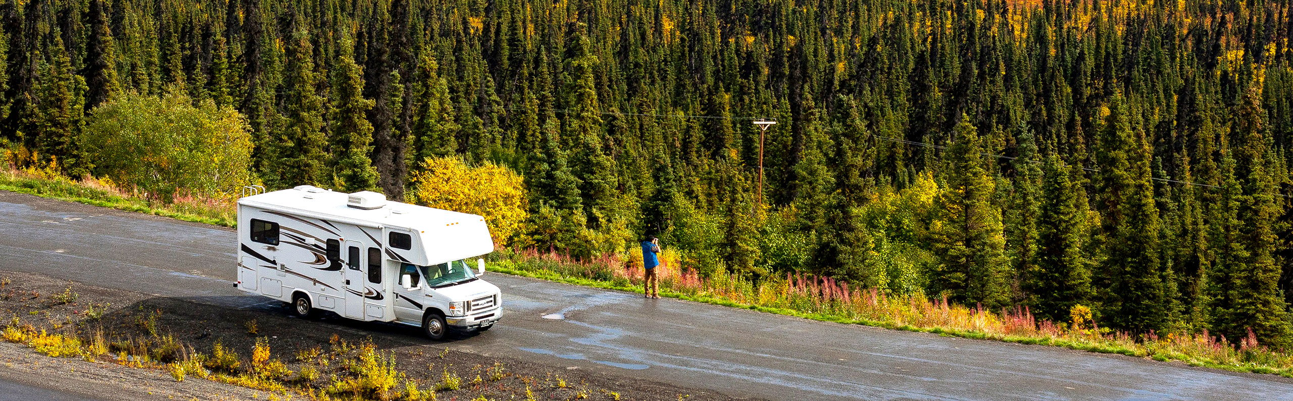 class C motorhome on road in forest